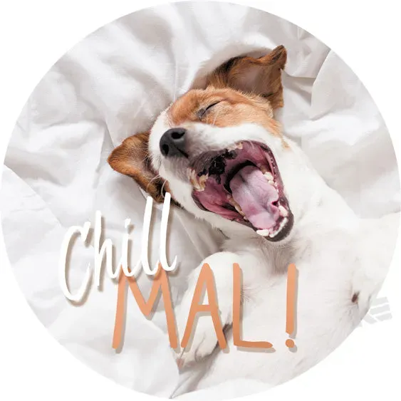 Kurt Eulzer 01-0483 Magneet Hond Chill mal 3D 3 stuks