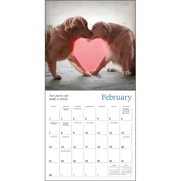 Sellers Publishing Dogma wandkalender 2027 honden