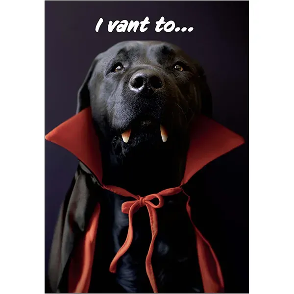 Sellers Publishing Halloween Humor HL11909 halloweenkaart 3 stuks