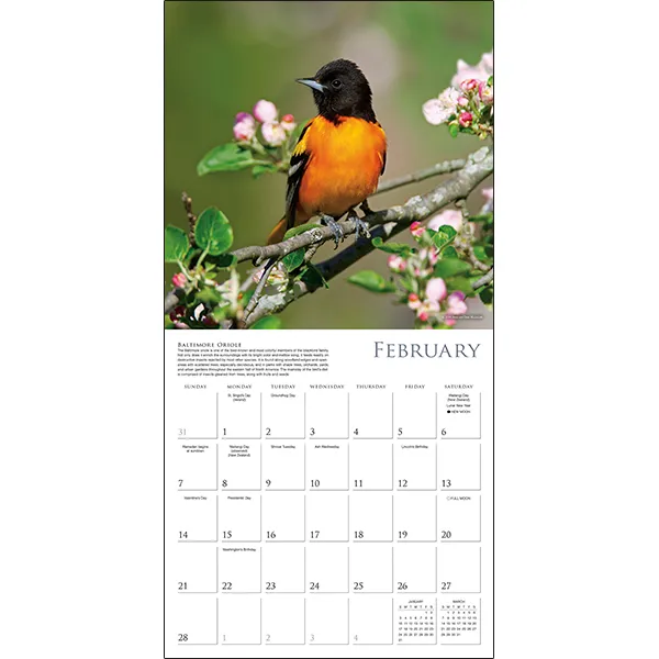 Sellers Publishing Songbirds of North America 2027 wandkalender