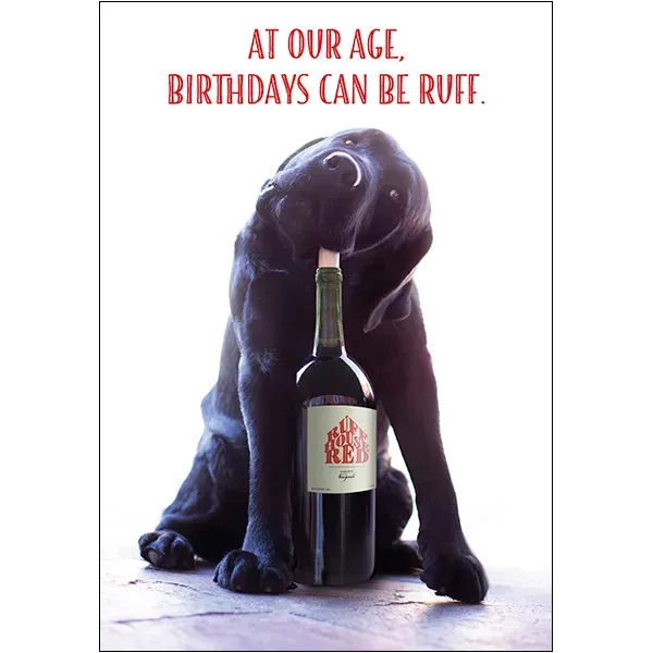 Sellers Publishing Birthday Humor B12099A kaarten 6 stuks hond