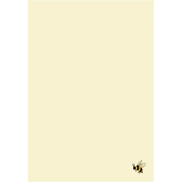 Sellers Publishing Blank Notes NT8577 blanco kaart 6 stuks bloemen