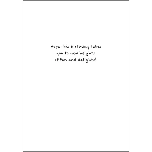 Sellers Publishing Birthday Humor B13114 verjaardagskaarten 6 stuks