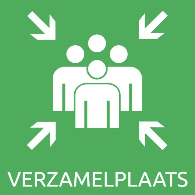 Gozi Verzamelplaats stoeptegel persoonlijk met foto