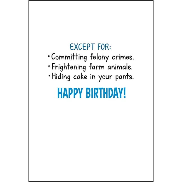 Sellers Publishing Birthday B11842 verjaardagskaart 6 stuks grappig