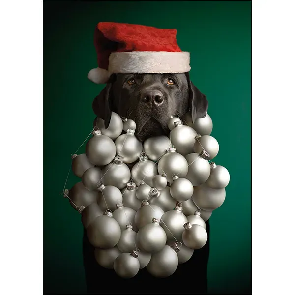 Sellers Publishing Christmas C12570 kerstkaarten 4 stuks foto
