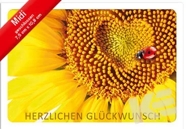 Kurt Eulzer 45-41003 wenskaart midi zonnebloem