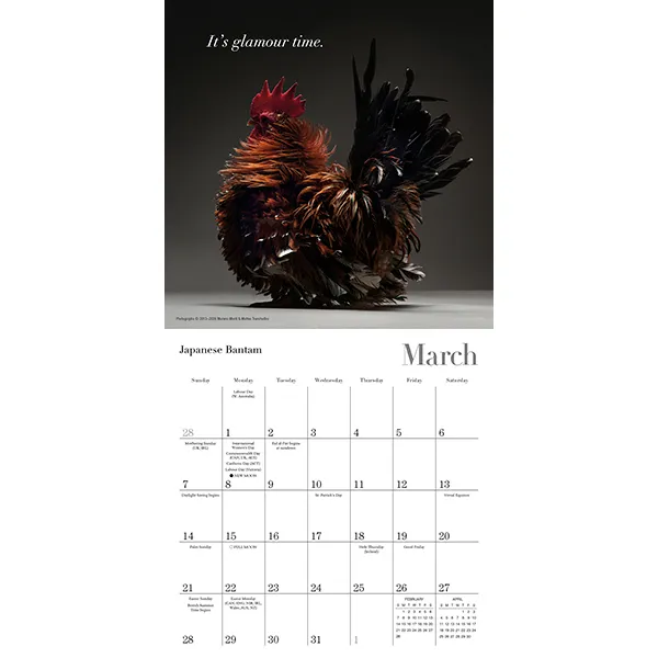 Glamour Chicks 2027 minikalender kippen mini