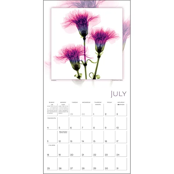 Sellers Publishing Flower Spirits 2027 wandkalender bloemen
