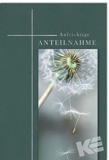 Kurt Eulzer 81-1234 troostkaart paardenbloem wit